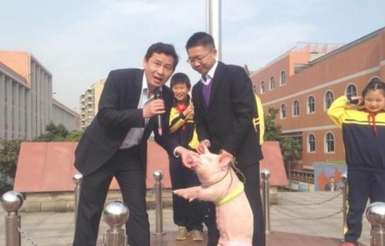 校长亲吻小猪 获称中国好校长
