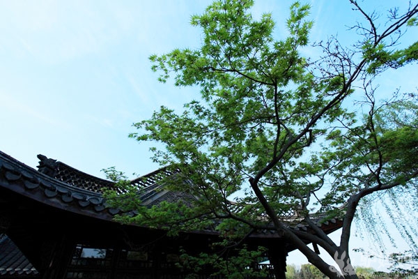 西湖哪里好玩 扬州瘦西湖，风景胜地盛极一时2