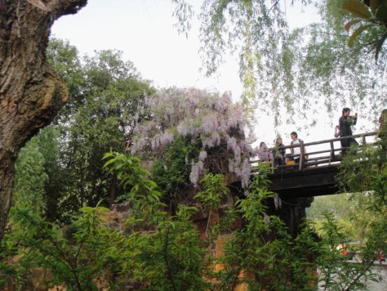 诗化扬州29