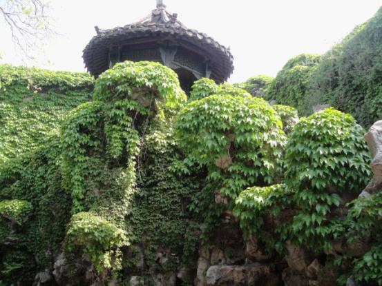 诗化扬州47