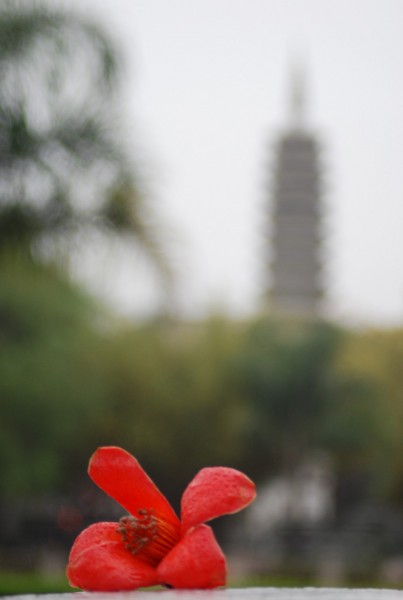 《迷失·厦门·鼓浪屿》3
