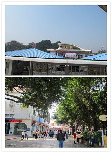 【厦门鼓浪屿】超详细攻略，再放点碎碎念。2