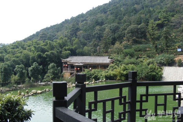 上海周边度假：苏州耕岛度假酒店--归园田居 田园乐享胡不归34