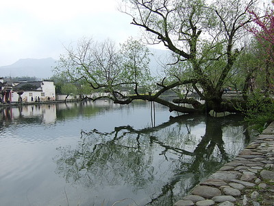 2009.4.3-4.11 杭州，黄山，九华山 九日游16