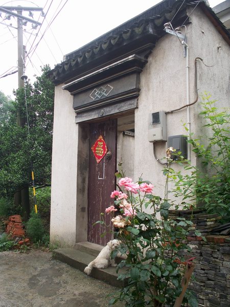 一伙不甘寂寞的老人折叠车骑游姑苏10