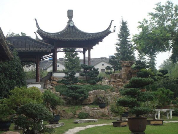 华东行之三11