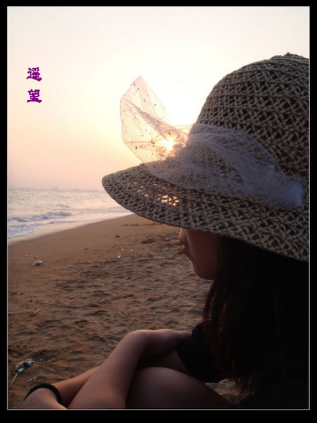 悠游鹭岛7