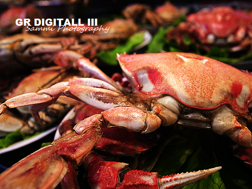 在宁波把小吃一网打尽4