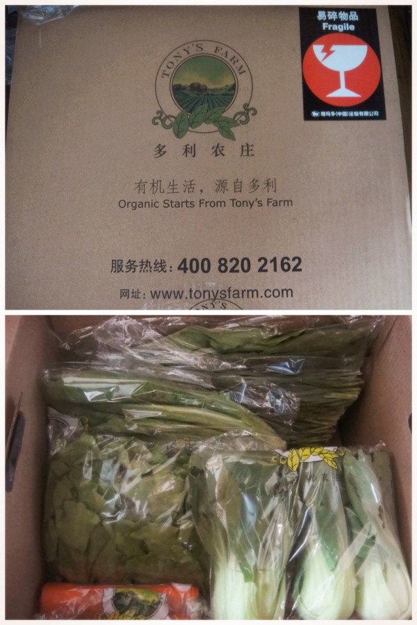 化身草莓控，吃吃拍拍玩玩！2