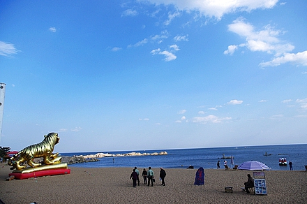 北戴河11
