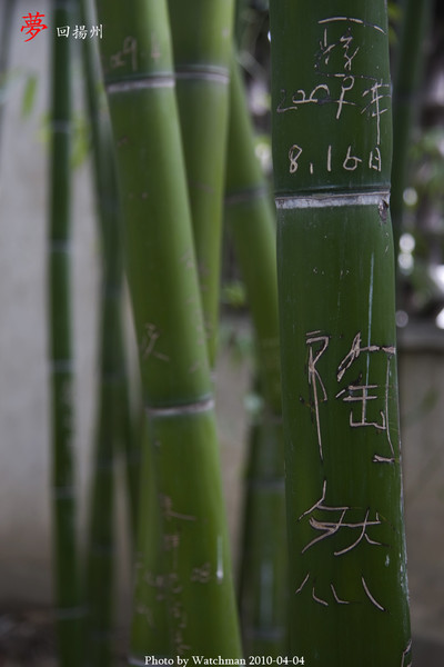 夢回揚州24