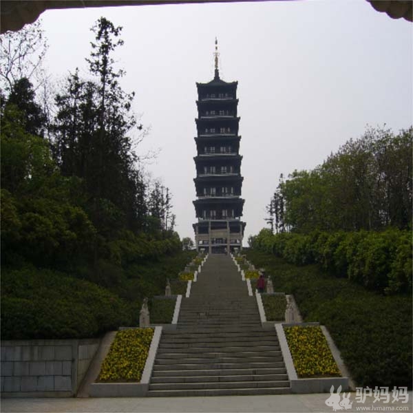 宜兴龙背山森林公园2