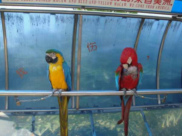 悠游鹭岛23