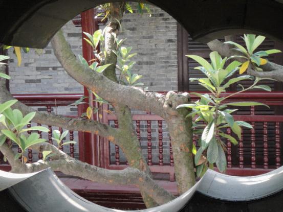 诗化扬州50
