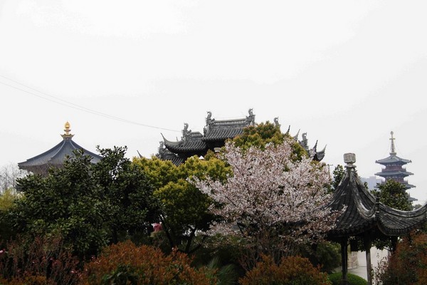 四月江南，忆苏州12