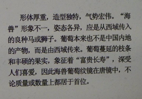 一伙不甘寂寞的老人折叠车骑游姑苏22
