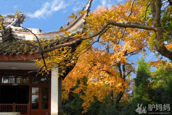 宋仁宗应梦名山——溪口雪窦山风景区6