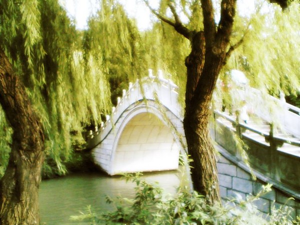 华东7市游（五）第四站：扬州 8.232