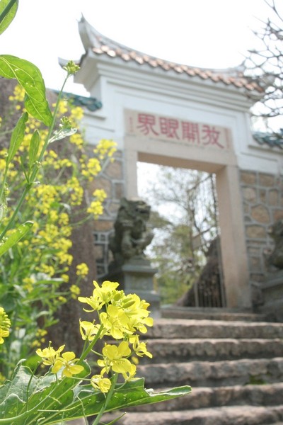 厦门——春来早1
