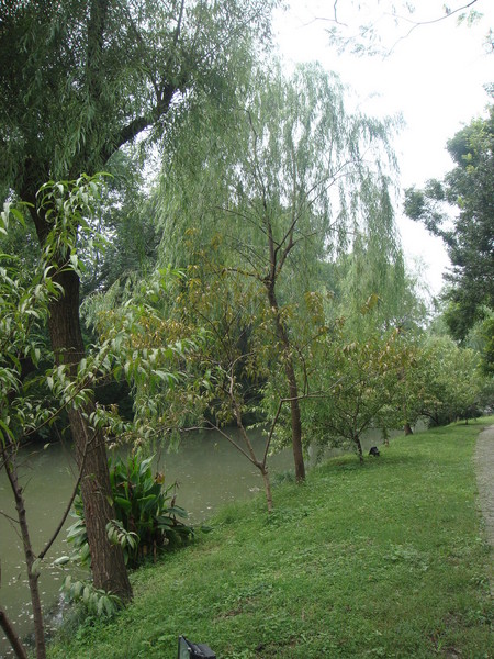 华东行之三10