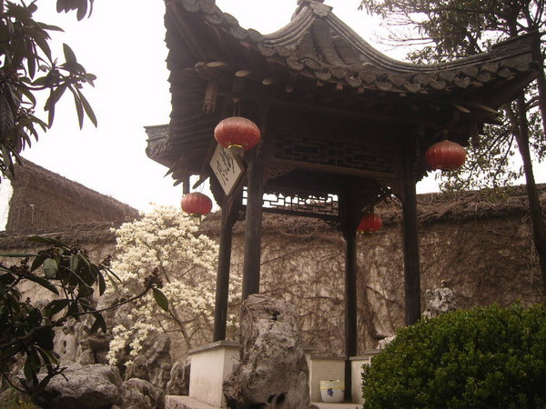 恰似那一湖絮秀3
