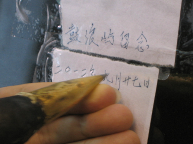 厦门自游行双人5天游2