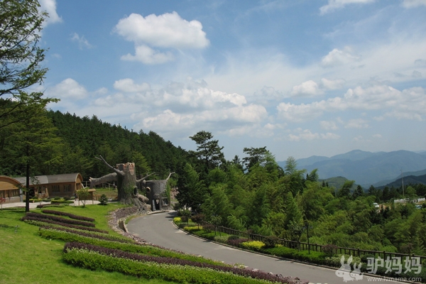 上海周边避暑自驾游：商量岗--避暑新鲜地，夏季23℃不输庐山2