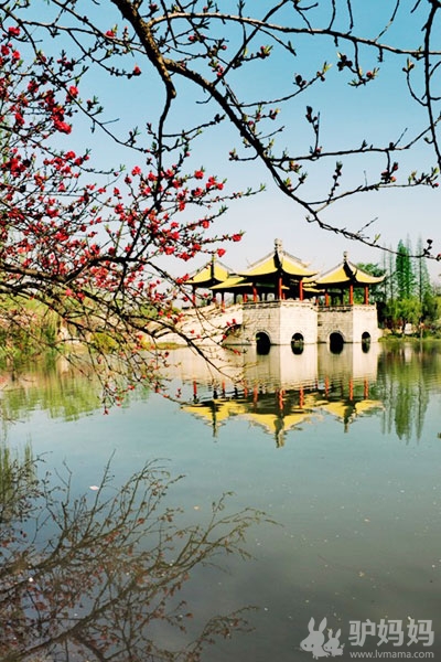 西湖哪里好玩 扬州瘦西湖，风景胜地盛极一时7