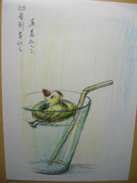 那一年，动漫节，仿佛就在昨天5