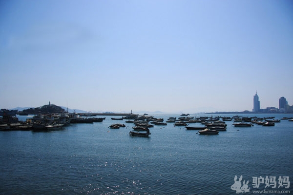 啤酒节醉梦青岛：山巅海畔，听涛絮语10