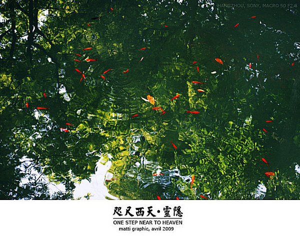 咫尺西天：灵隐9