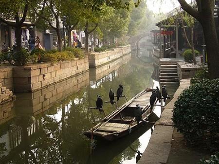 ?直：隐居在江南小镇的台湾人(组图)2