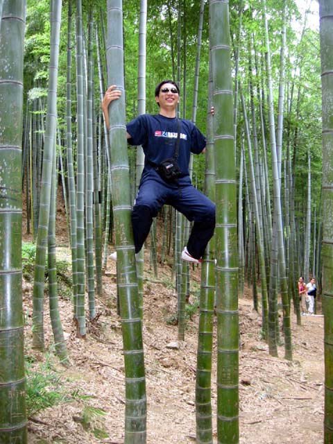安吉自助两日游1