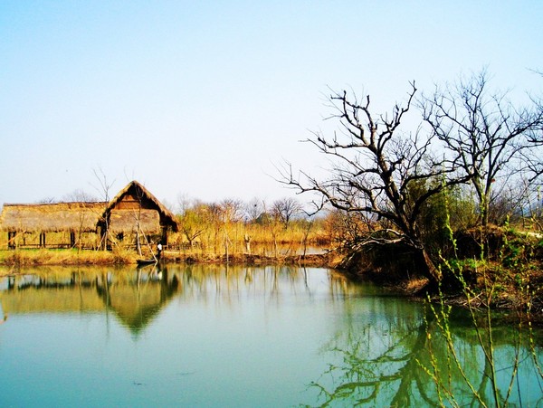 西 溪 湿 地2
