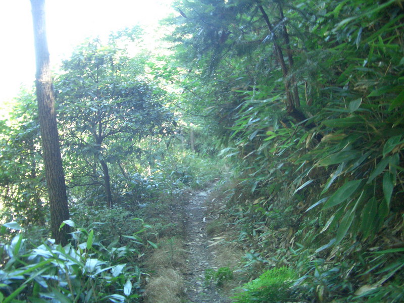 留在龙王山的遗憾4