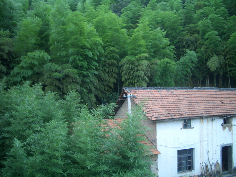 留在龙王山的遗憾1