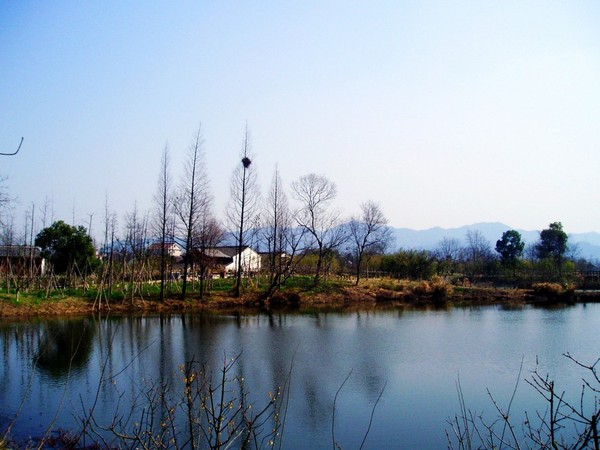西 溪 湿 地1