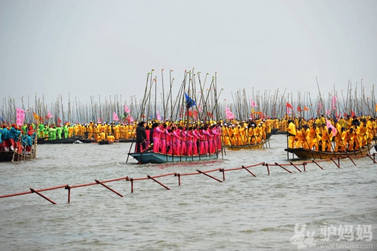 溱湖在哪里_溱潼湿地公园好玩吗_泰州溱湖湿地公园游记5