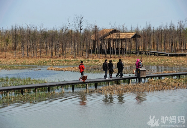 溱湖在哪里_溱潼湿地公园好玩吗_泰州溱湖湿地公园游记6