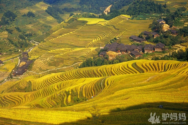 给自己的山水犒赏之旅 桂林2