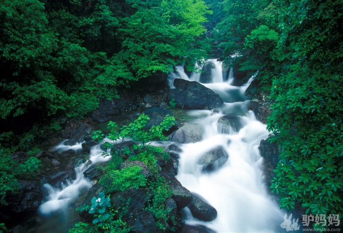 竹乡安吉清凉三日自助行——之龙王山攻略1
