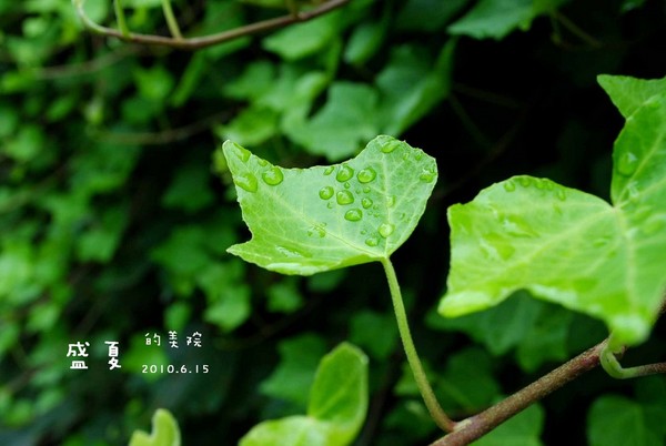 如果你来杭州，可以去国美看看1