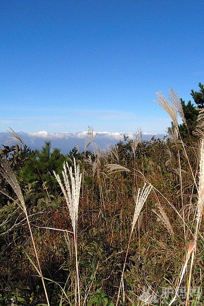 安吉中南百草园、龙王山漂流吃住行全攻略2