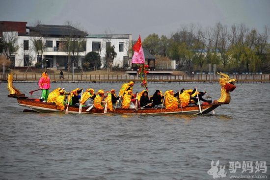 溱湖在哪里_溱潼湿地公园好玩吗_泰州溱湖湿地公园游记4