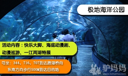 第八届中国国际动漫节十大会场全攻略：让宅男宅女动起来的力量！15