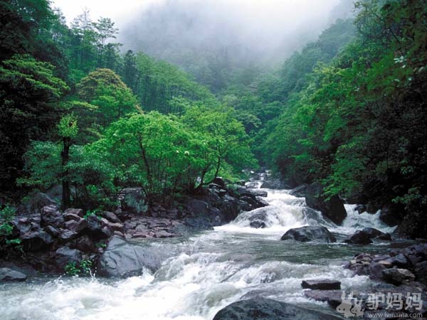龙王山游记（2）4