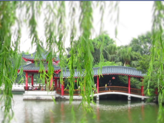 小家碧玉的桂林2