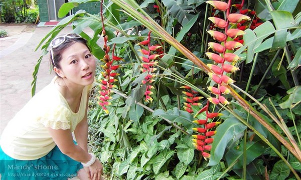 热带迷情——我的三亚游记（第七站：兴隆热带植物园）22