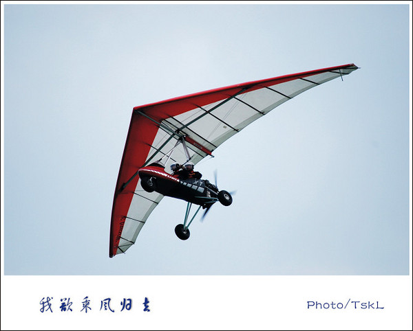 我欲乘风归去。。。。。。8