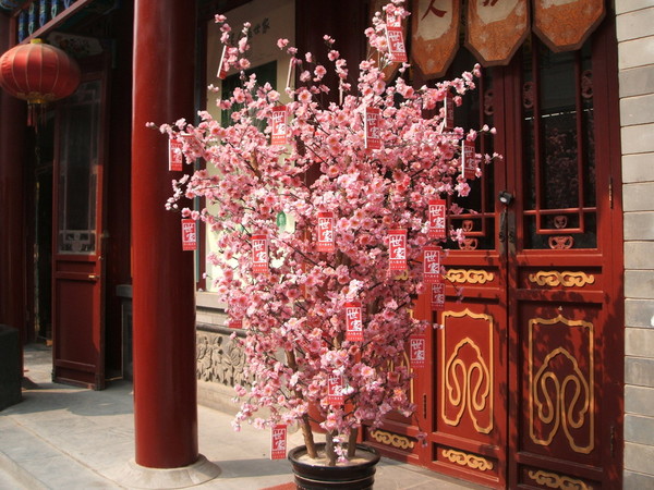 天津归来，补记，美食当先。。。19
